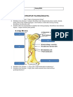 Anatomi Skeletal