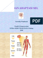 Adaptasi Dan Jejas Sel