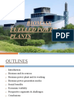 Biomass Fuelled Power Plants