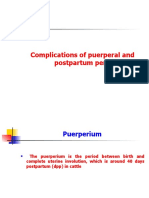 Complications of Puerperal and Postpartum Period