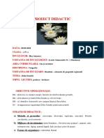 7 Proiect Geografie