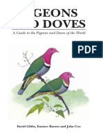 A Guide To The Pigeons and Doves of World