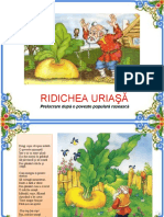 Ridichea Uriasa