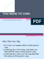 Thai Ngoài T Cung
