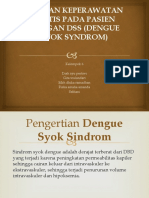 Asuhan Keperawatan Kritis Pada Pasien Dengan Dss (Dengue Syok Syndrom)