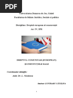 Referat - Dreptul Comunitar Şi Instituţiile Sale. Luntraru Catalina