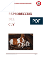 (11-5) Reproduccion Del Cuy