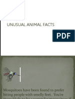 unusual animal facts