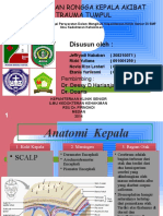 Perdarahan Rongga Kepala 2014 Fix