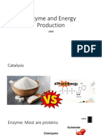 Enzyme and Energy Production 2020