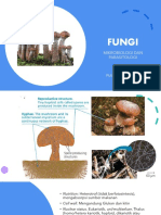 Fungi All