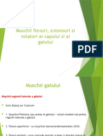 22-Muschii Flexori, Extensori Si Rotatori Ai Capului Si Gatului