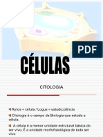 CÉLULAS 01 - HISTÓRICO E TEORIA CELULAR