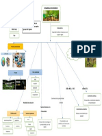 Mapa Mental Desarrollo Economico