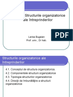 Tema 4. Structurile organizatorice_PPS
