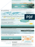 QUI Infografía Medio Interno