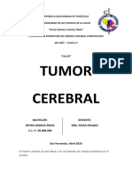 Tumor Cerebral - Deysis Meja