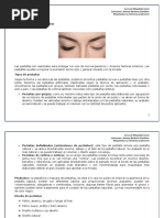 Anatomia y Fisiologia Del Rostro | PDF | Cara | Rasgos faciales
