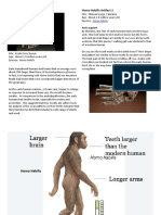 Homo - Habilis.Ar1fact.1. Homo - Habilis.Ar1fact.2.: Arch - Support!