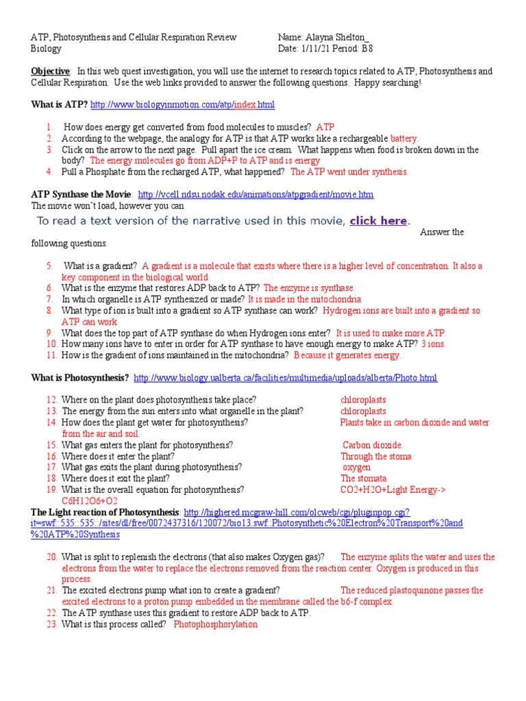 Cellular Respiration Webquest Answer Key Pdf