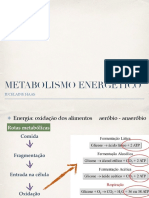 Metabolismo Energetico