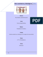 Cambios Anatómicos y Fisiológicos en La Etapa de La Vejez