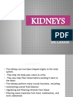 KIDNEYS