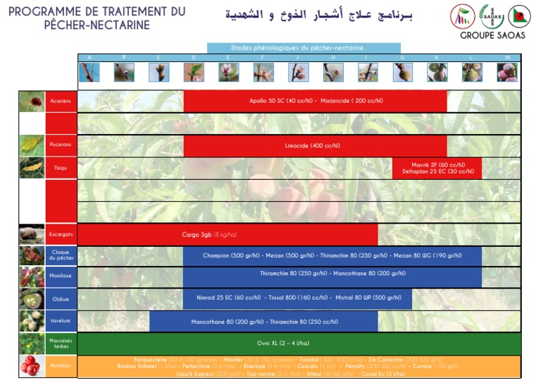 Programme de traitement pêchernectarine PDF — free download