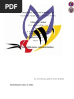Download resumen Calidad desarrollo de una cultura de calidad by Azalea Mancha SN50262500 doc pdf