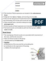 The Muscles of Facial Expression (Skull 4)