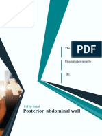Ana. D.Alaa-L5-Posterior Abdominal Wall