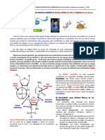 1 Modulo La Célula Como Unidad Genetica