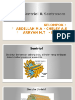 Sentriol & Sentrosom