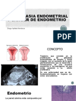 Hiperplasia endometrial: concepto, etiología, factores de riesgo y tratamiento