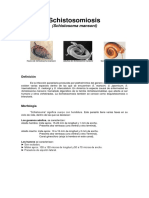 Schistosomiosis