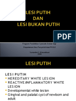 lesiputihppdgs08