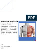 Acromium - Acromium 2