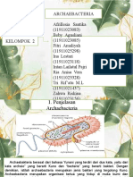 ARCHAEOBACTERIA