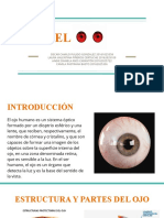 El ojo