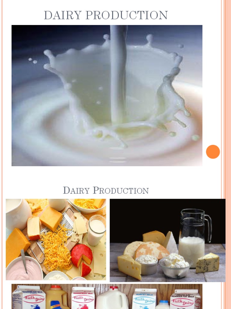 Dairy Cattle Production PDF Dairy Cattle Cattle