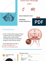 CRS - Stroke Non Hemoragik M