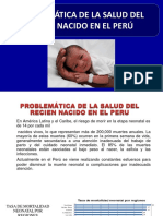 3-04-01 Problematica de La Salud Del Recien Nacido2