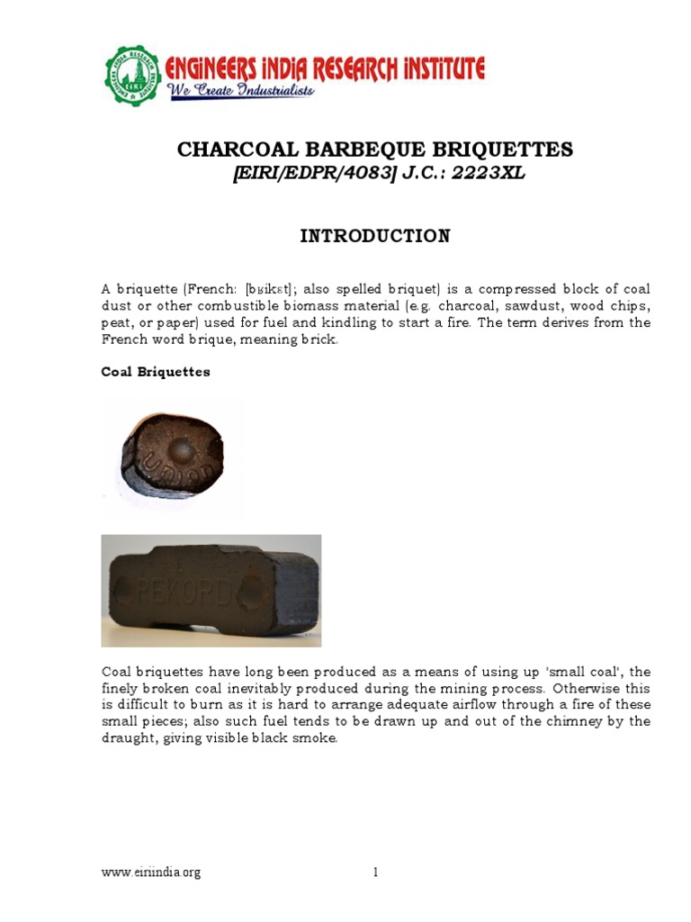 Project Report On Charcoal Barbeque Briquettes PDF Fuels Chemical