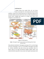 Patogenesis dan Patofisiologi Diare