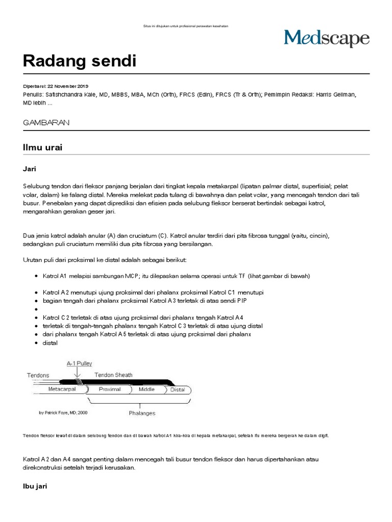 Trigger Finger - Anatomy Practice Essentials, Background, Anatomy - En ...