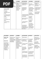 Nursing Care Plan Example | PDF | Diseases And Disorders | Physiology
