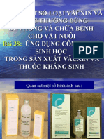 Vacccin Kháng Sinh