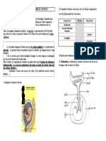 Complète Le Tableau Ci-Dessous Avec Des Flèches Indiquant Le Sens Du Déplacement Des Substances