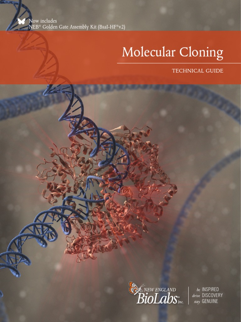 Cloning Tech Guide | PDF | Molecular Cloning | Dna Ligase