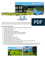 Lagunita Frutillar Precios Noviembre 2020 2